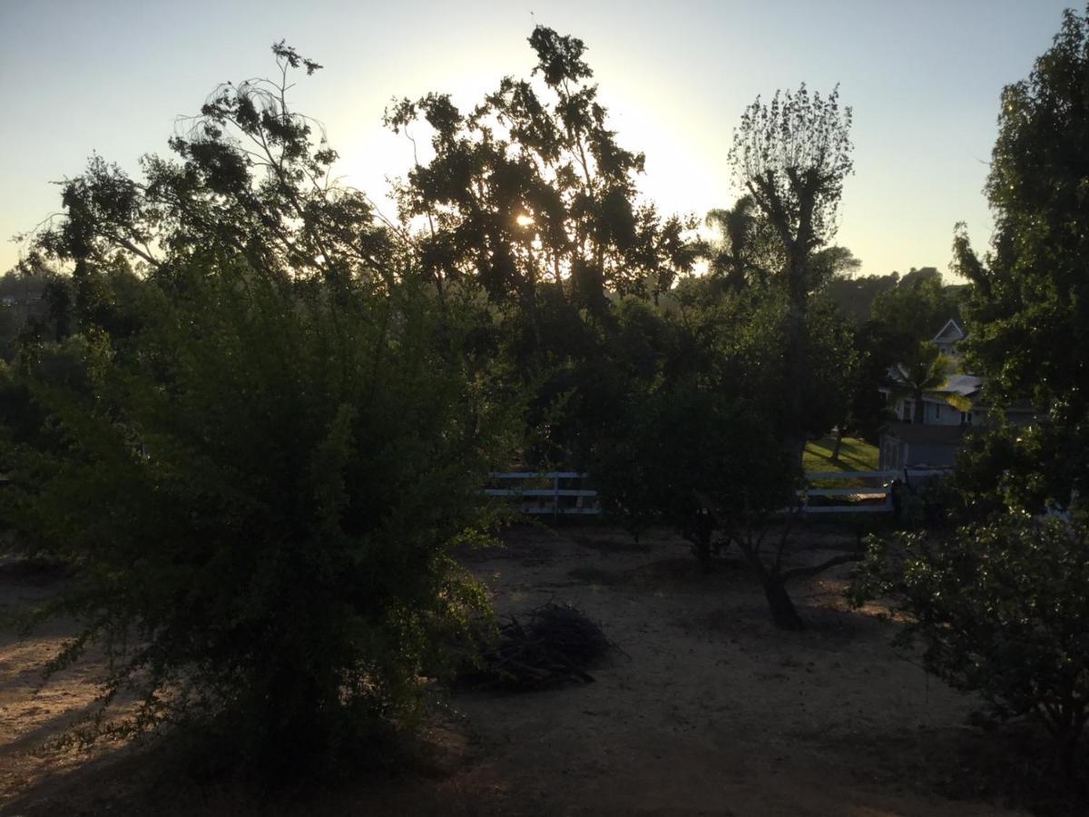 Beautiful New Detached Casita Nestled In Scenic Southern Ca Foothills! Фолбрук Екстериор снимка