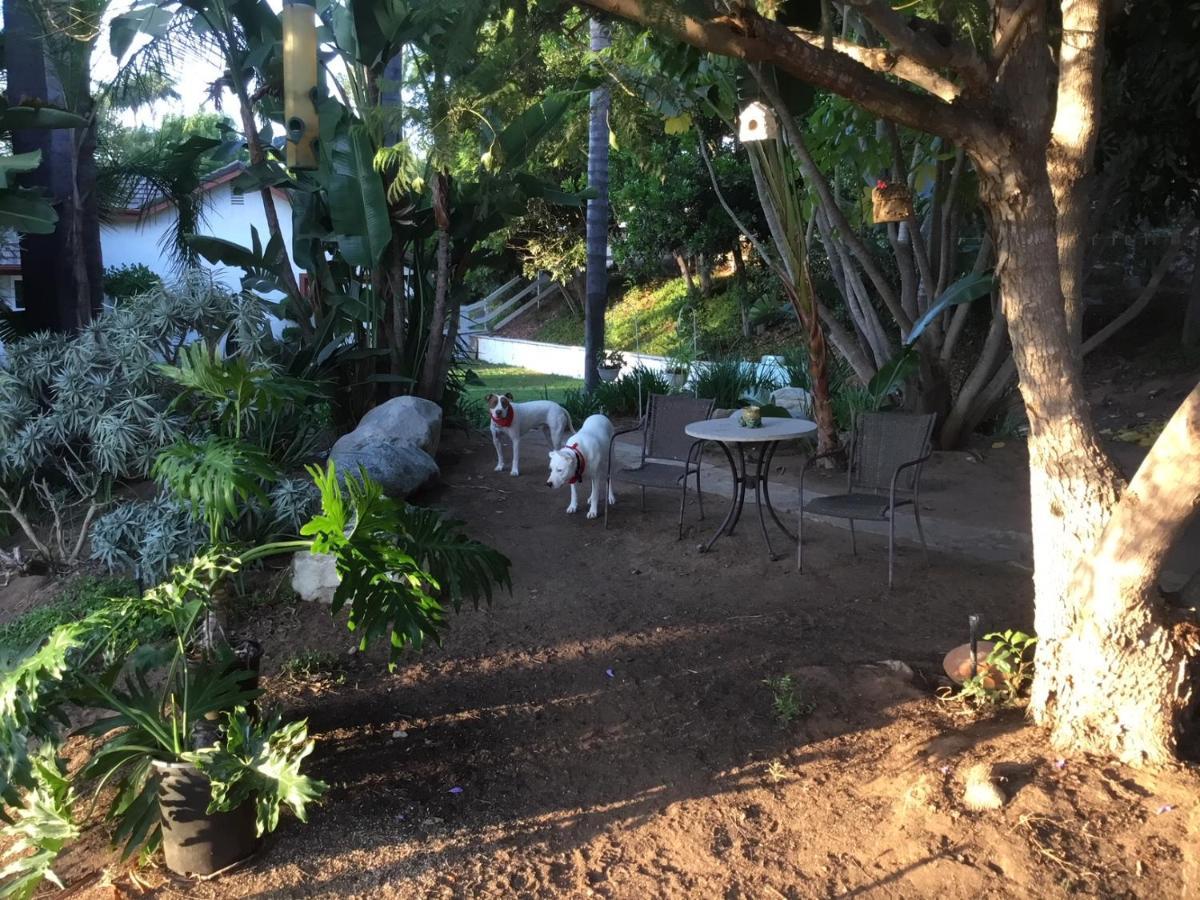 Beautiful New Detached Casita Nestled In Scenic Southern Ca Foothills! Фолбрук Екстериор снимка