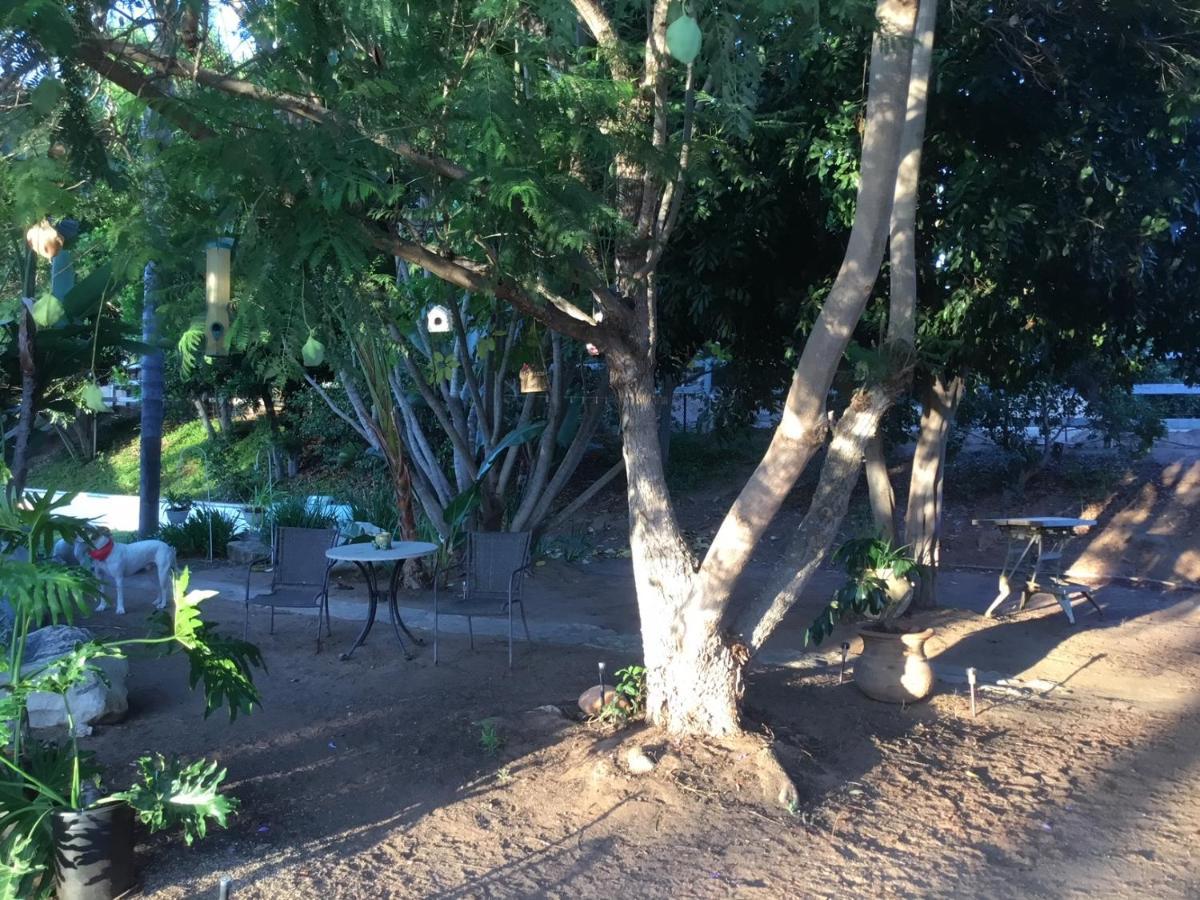 Beautiful New Detached Casita Nestled In Scenic Southern Ca Foothills! Фолбрук Екстериор снимка